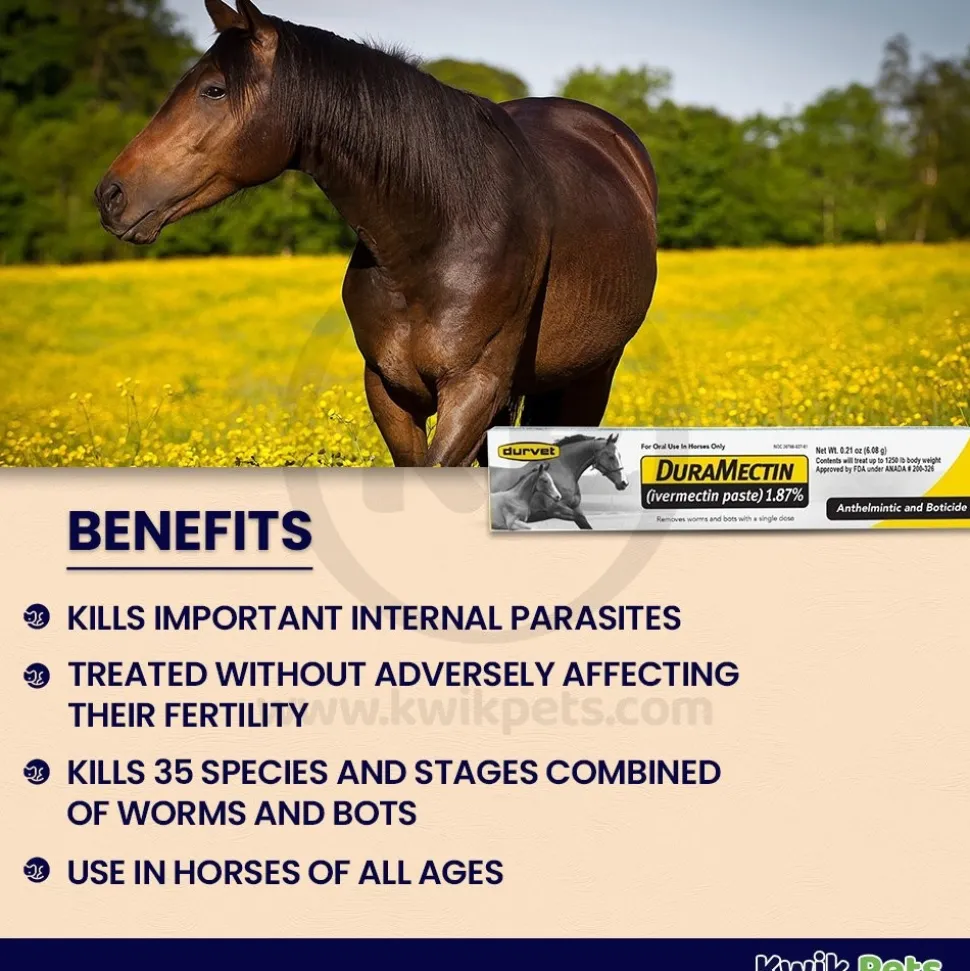 Durvet Duramectin Ivermectin Paste 1.87% Horse Dewormer Removes Worms & Bots