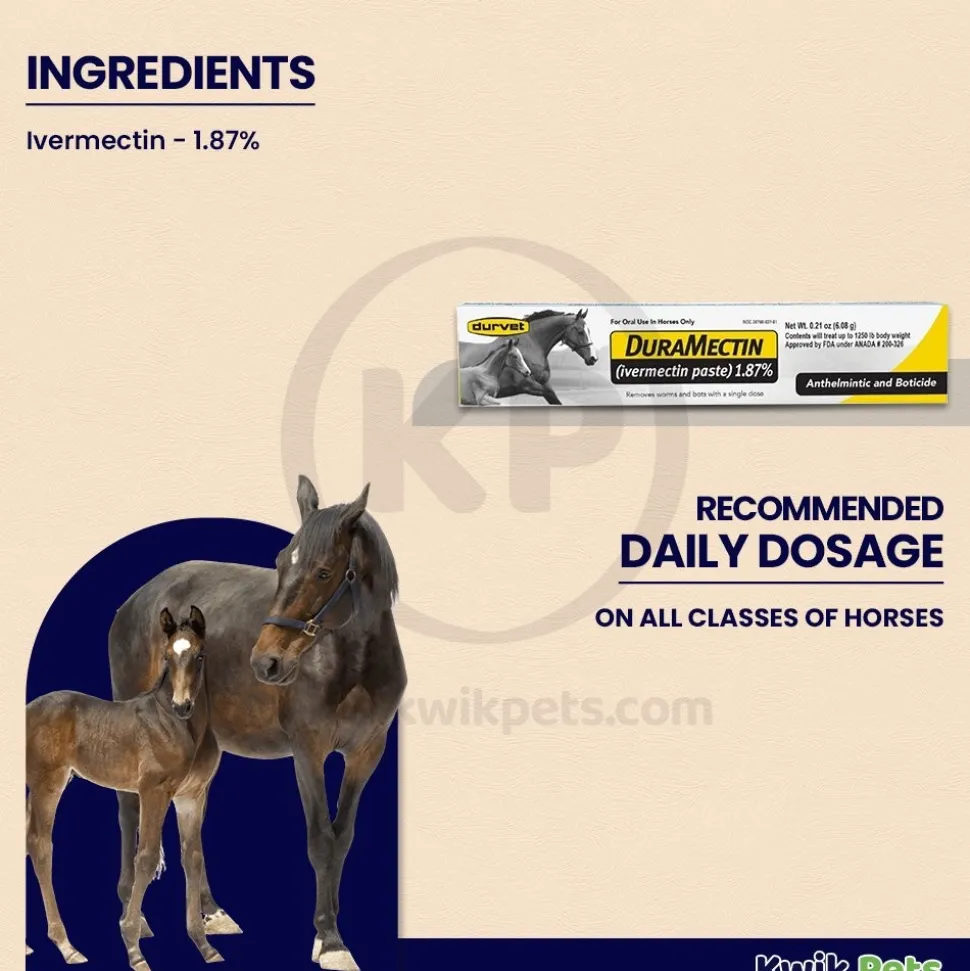 Durvet Duramectin Ivermectin Paste 1.87% Horse Dewormer Removes Worms & Bots