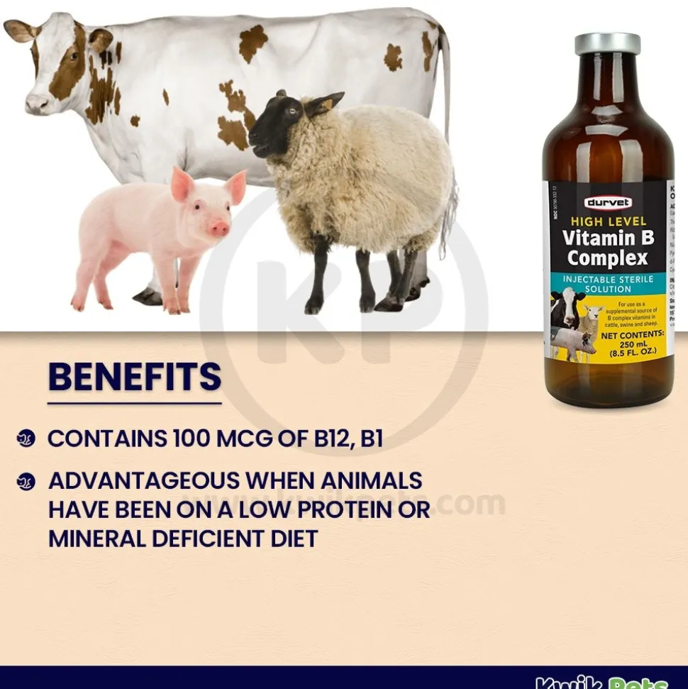 Durvet High Level Vitamin B Complex Injectable Sterile Solution 250 ml