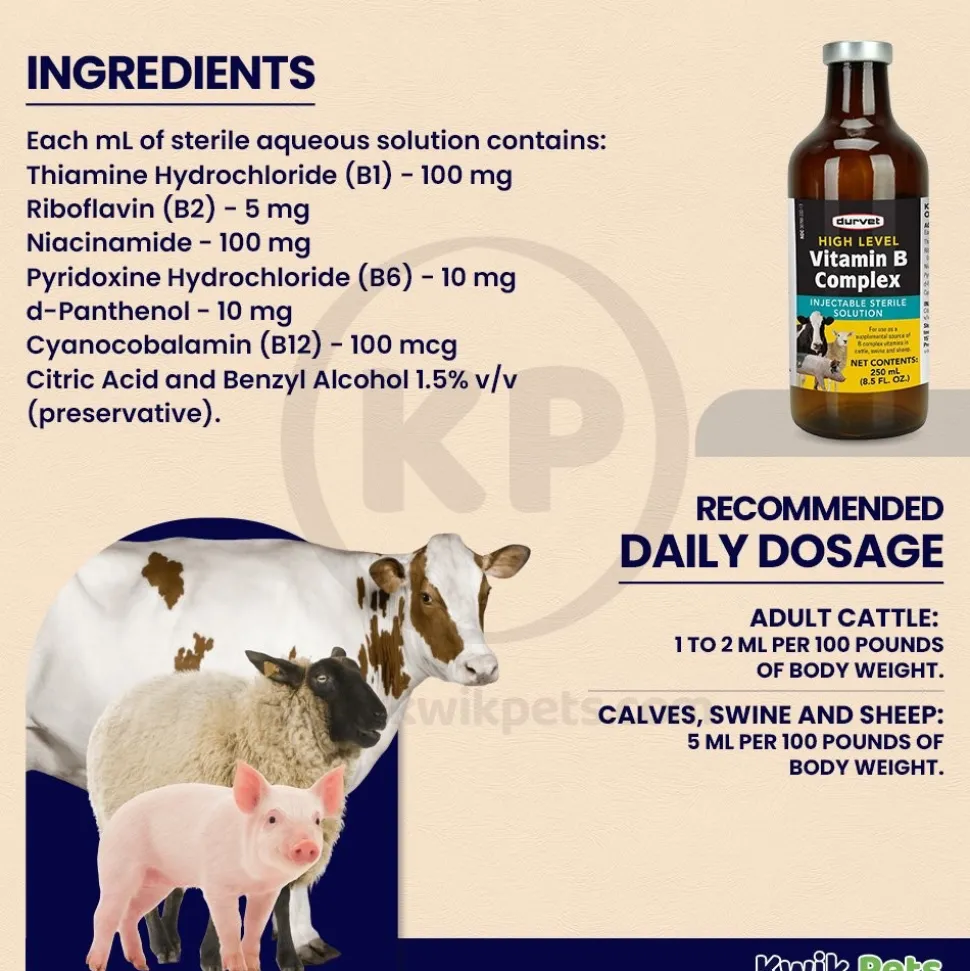 Durvet High Level Vitamin B Complex Injectable Sterile Solution 250 ml