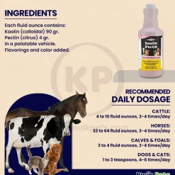Durvet Kaolin Pectin Anti-Diarrheal Liquid 32-oz