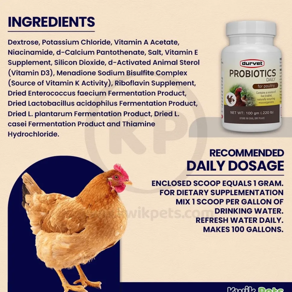 Durvet Probiotics Daily Poultry Supplement 100 gram