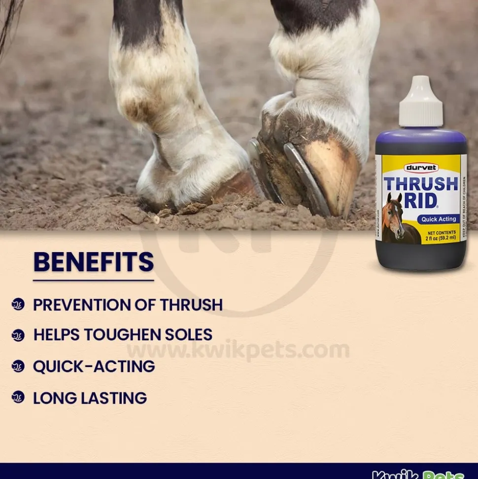 Durvet Quick Action Thrush RID Hoof Care 2-oz