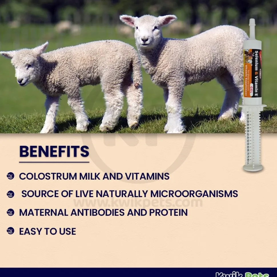 Durvet Sheep & Goat Selenium Vitamin E Gel 80 ml