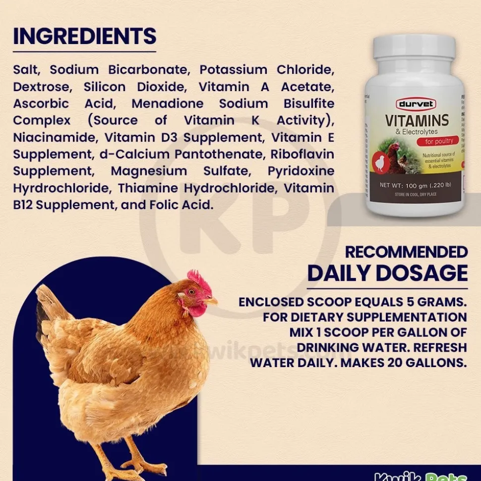 Durvet Vitamins & Electrolytes Poultry Nutrient Supplement 100g