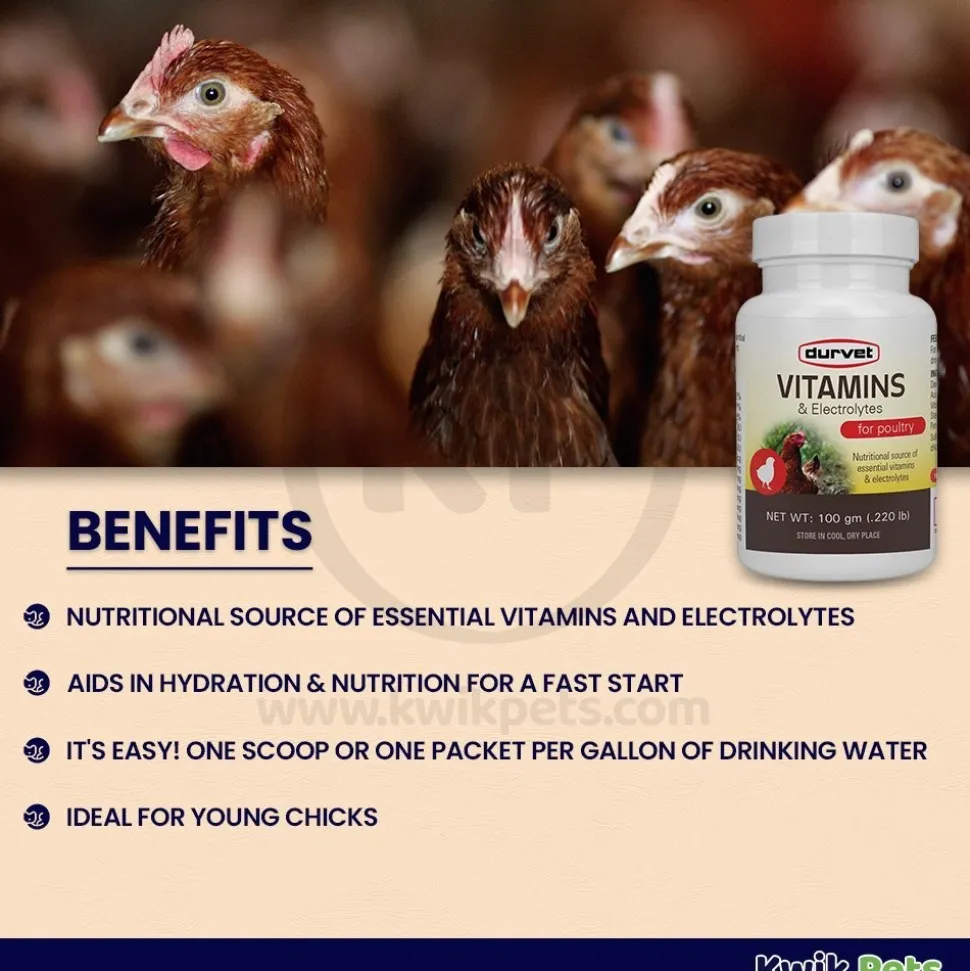 Durvet Vitamins & Electrolytes Poultry Nutrient Supplement 100g