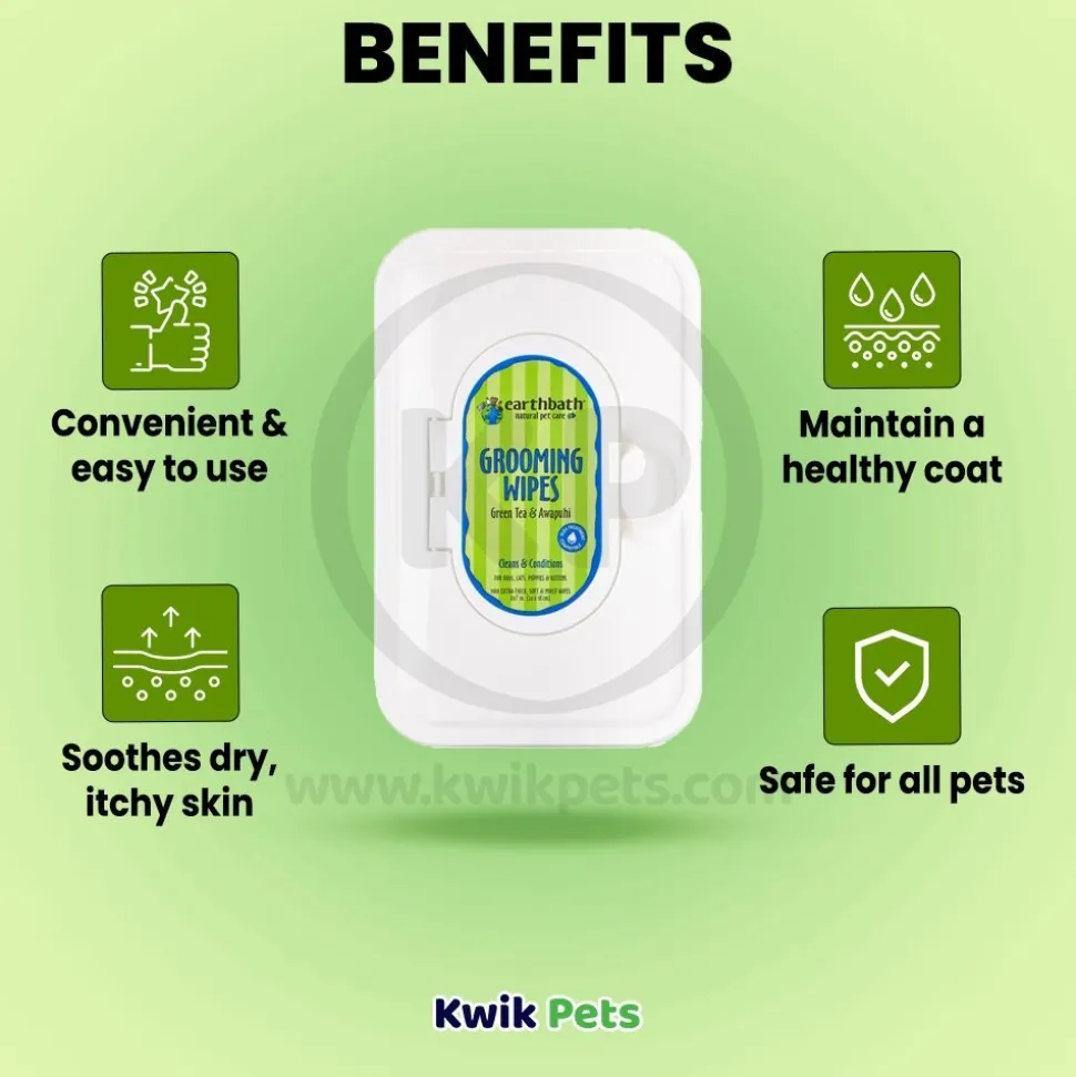 Earthbath Grooming Wipes for Dogs & Cats Green Tea & Awapuhi 100 Count