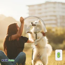 Earthbath Grooming Wipes for Dogs & Cats Green Tea & Awapuhi 100 Count