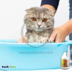 Earthbath 2-in-1 Conditioning Pet Shampoo Mango Tango 16-oz