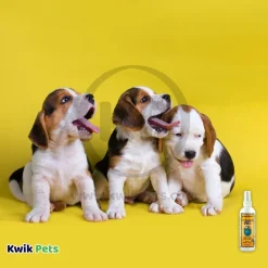 Earthbath 3-in-1 Deodorizing Spritz for Dogs Vanilla & Almond 8-oz