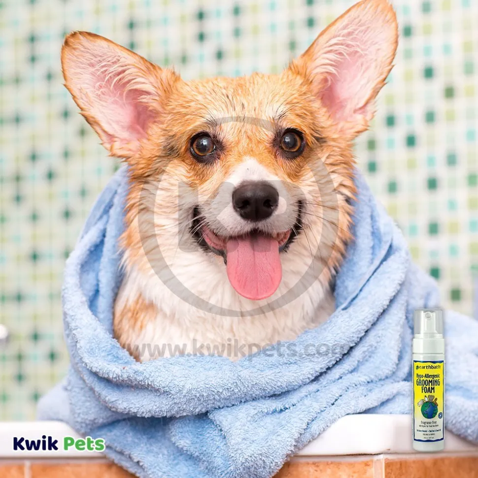 Earthbath Waterless Grooming Foam for Dogs & Puppies Fragrance Free 8-oz