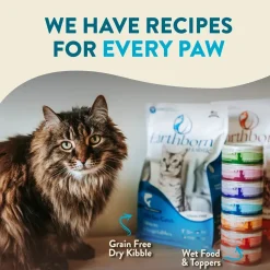 Earthborn Holistic Wild Sea Catch Grain-Free Indoor Formula Dry Cat Food Salmon & Vegetables 4-lb