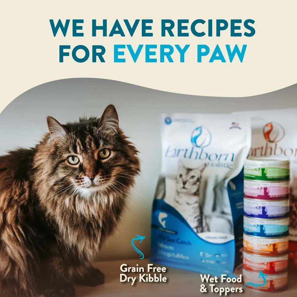 Earthborn Holistic Wild Sea Catch Grain-Free Indoor Formula Dry Cat Food Salmon & Vegetables 4-lb
