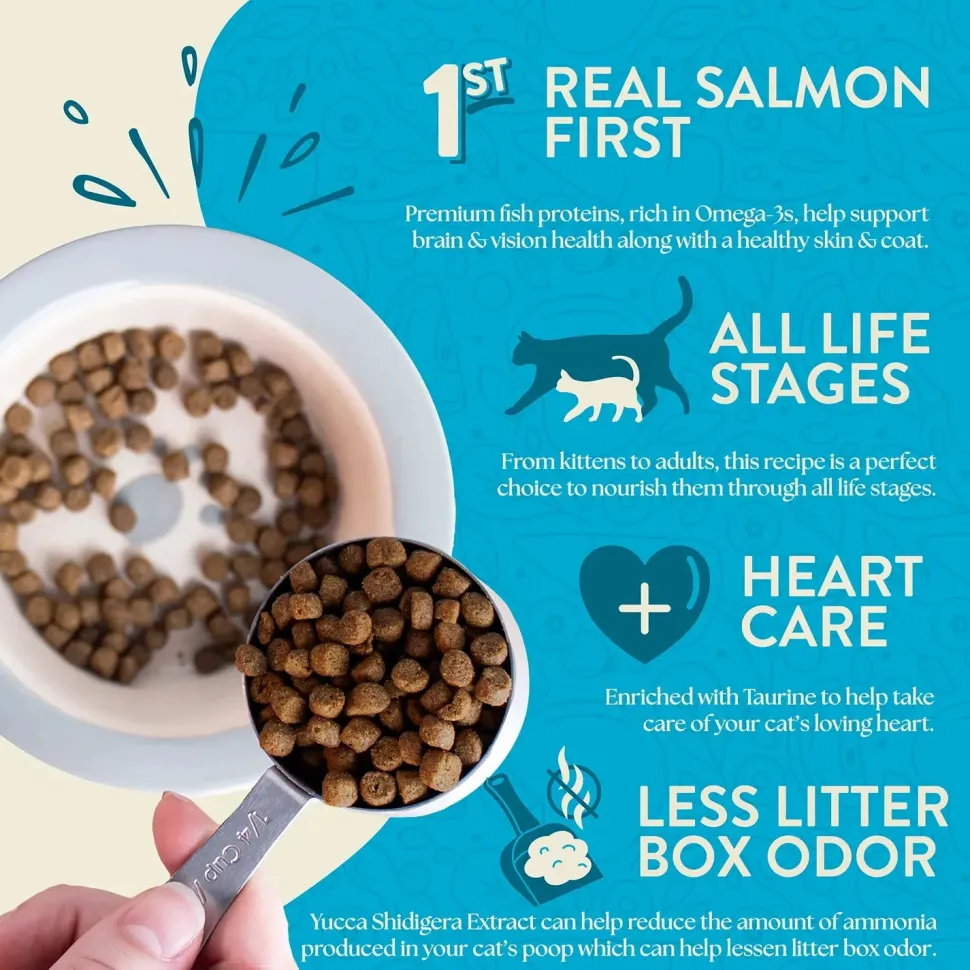 Earthborn Holistic Wild Sea Catch Grain-Free Indoor Formula Dry Cat Food Salmon & Vegetables 4-lb
