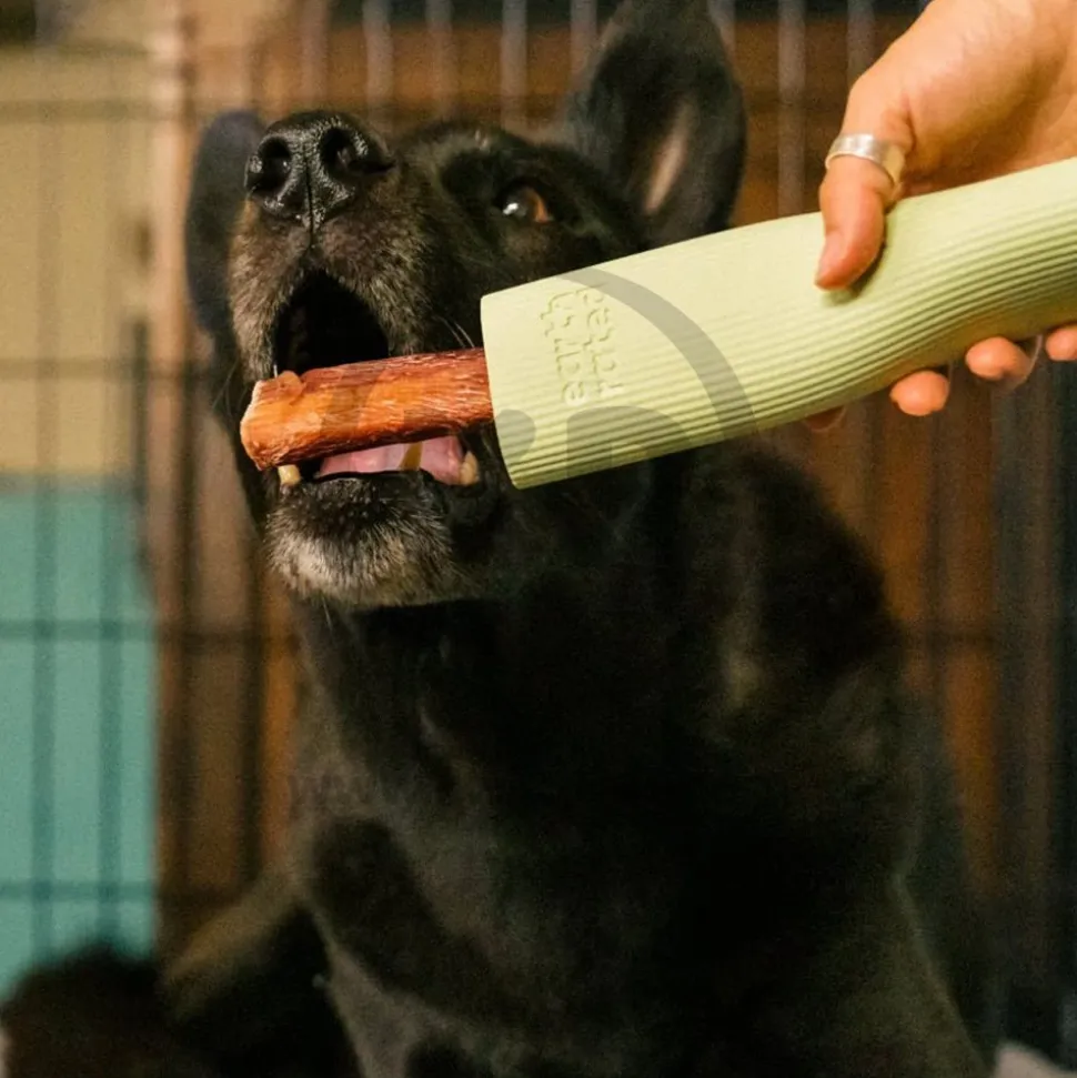 Earth Rated Natural Rubber Dog Chew & Enrichment Toy Green Small