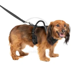 EasySport Comfortable Dog Harness Black XS