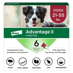 Elanco Advantage II 6-Month Supply Topical Flea Treatment & Prevention for Large Dogs 21-55 lbs