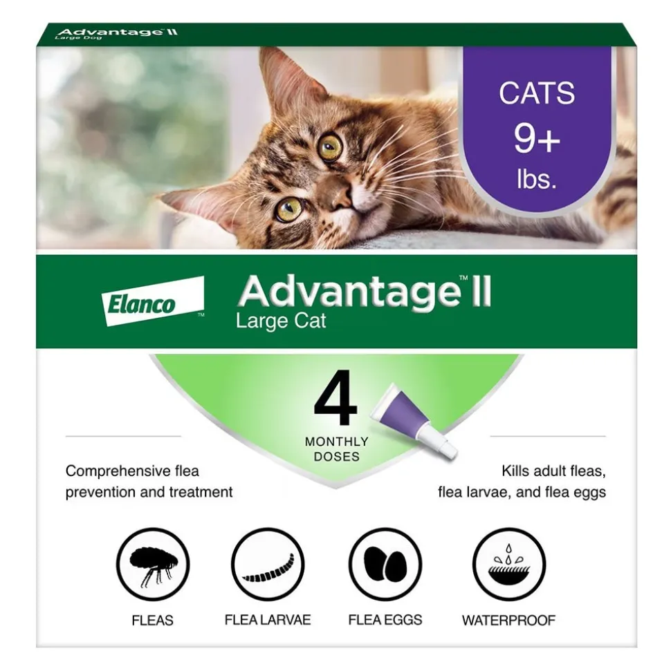 Elanco Advantage II 4-Month Supply Topical Flea Treatment & Prevention for Large Cats Over 9 lbs