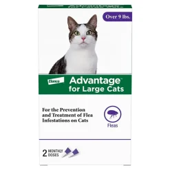 Elanco Advantage 2-Month Supply Topical Flea Treatment for Large Cats Over 9 lbs