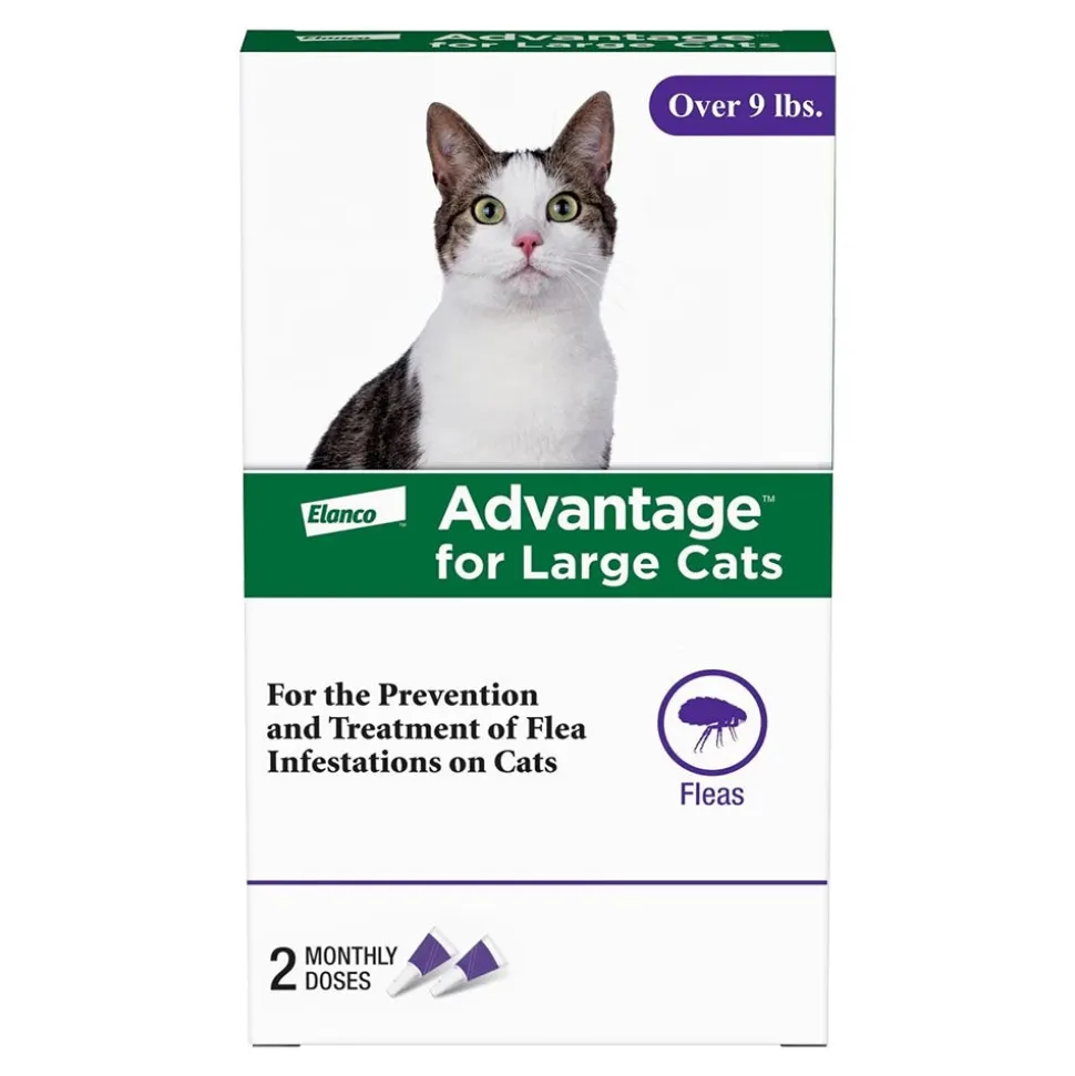 Elanco Advantage 2-Month Supply Topical Flea Treatment for Large Cats Over 9 lbs