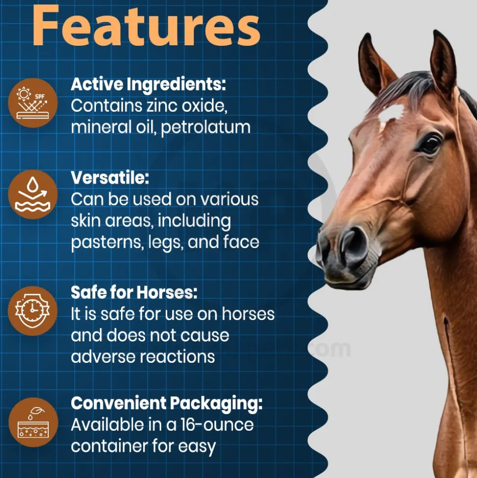 Equiderma Zinc Oxide Paste for Horses 16-oz