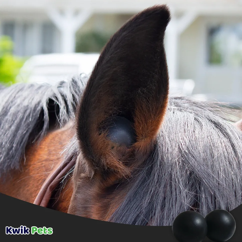 Equine Healthcare International Smooth Style Pomms Horse Ear Plugs Black 4 Count