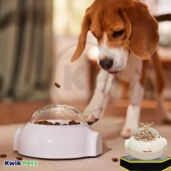 Ethical Pet Push-N-Pop Dog Food & Treat Dispenser