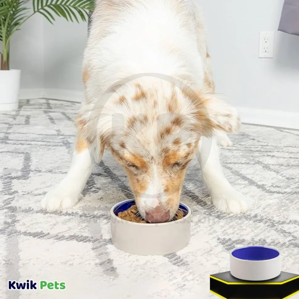 Ethical Pet Stoneware Crock Dog Bowl Blue
