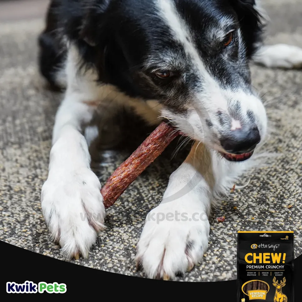 Etta Says! Chew! Premium Crunchy Venison Dog Treats 4.5-oz