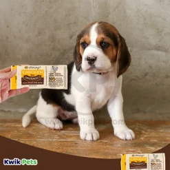 Etta Says! Chicken Deli Sausages Meat Dog Treat 1.25-oz