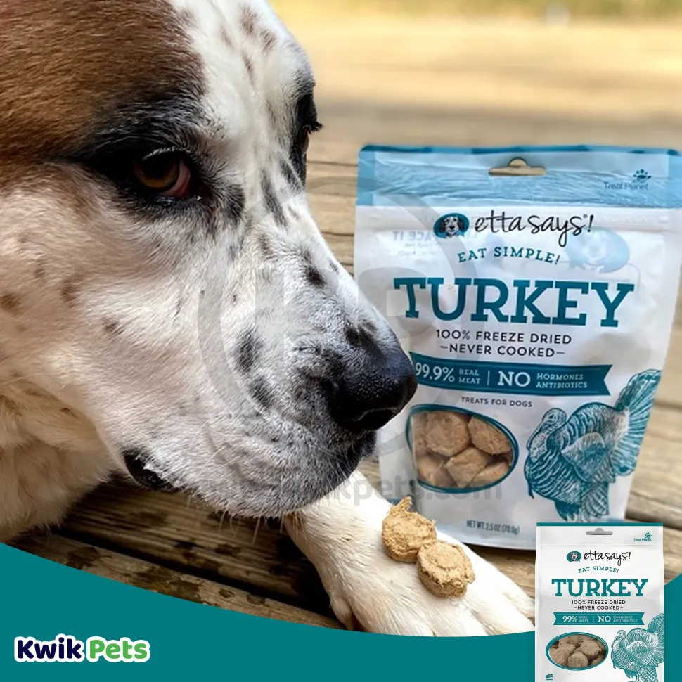 Etta Says! Eat Simple 100% Freeze Dried Never Cooked Turkey Dog Treats 2.5-oz