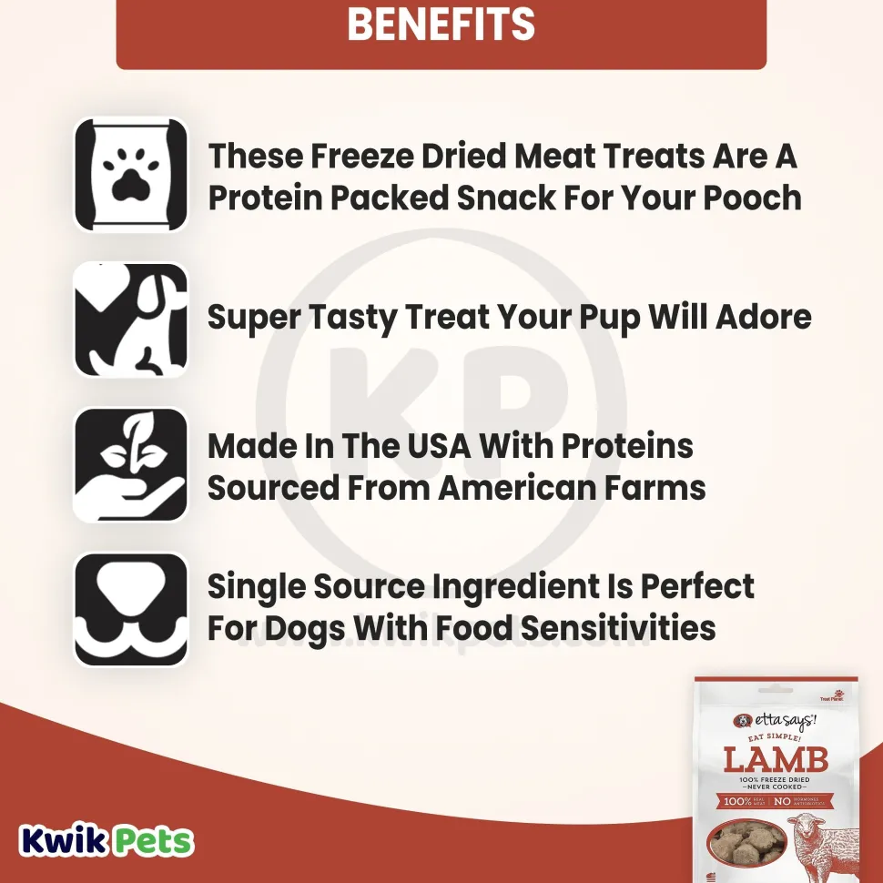 Etta Says! Eat Simple 100% Freeze Dried Never Cooked Lamb Dog Treats 2.5-oz