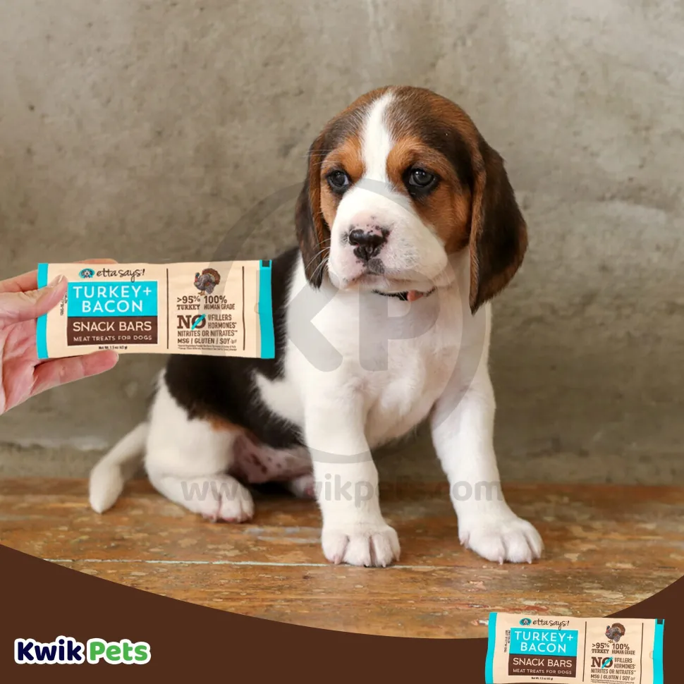 Etta Says! Meat Snack Bar Turkey & Bacon Dog Treats 1.5-oz