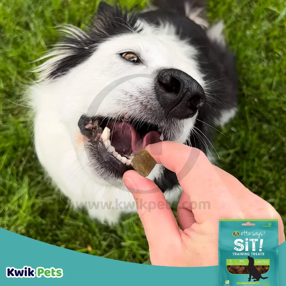 Etta Says! Sit! Dog Training Treats Cheese Recipe 6-oz