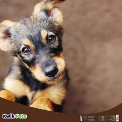 Etta Says! Yumm Sticks Chicken Dog Treat