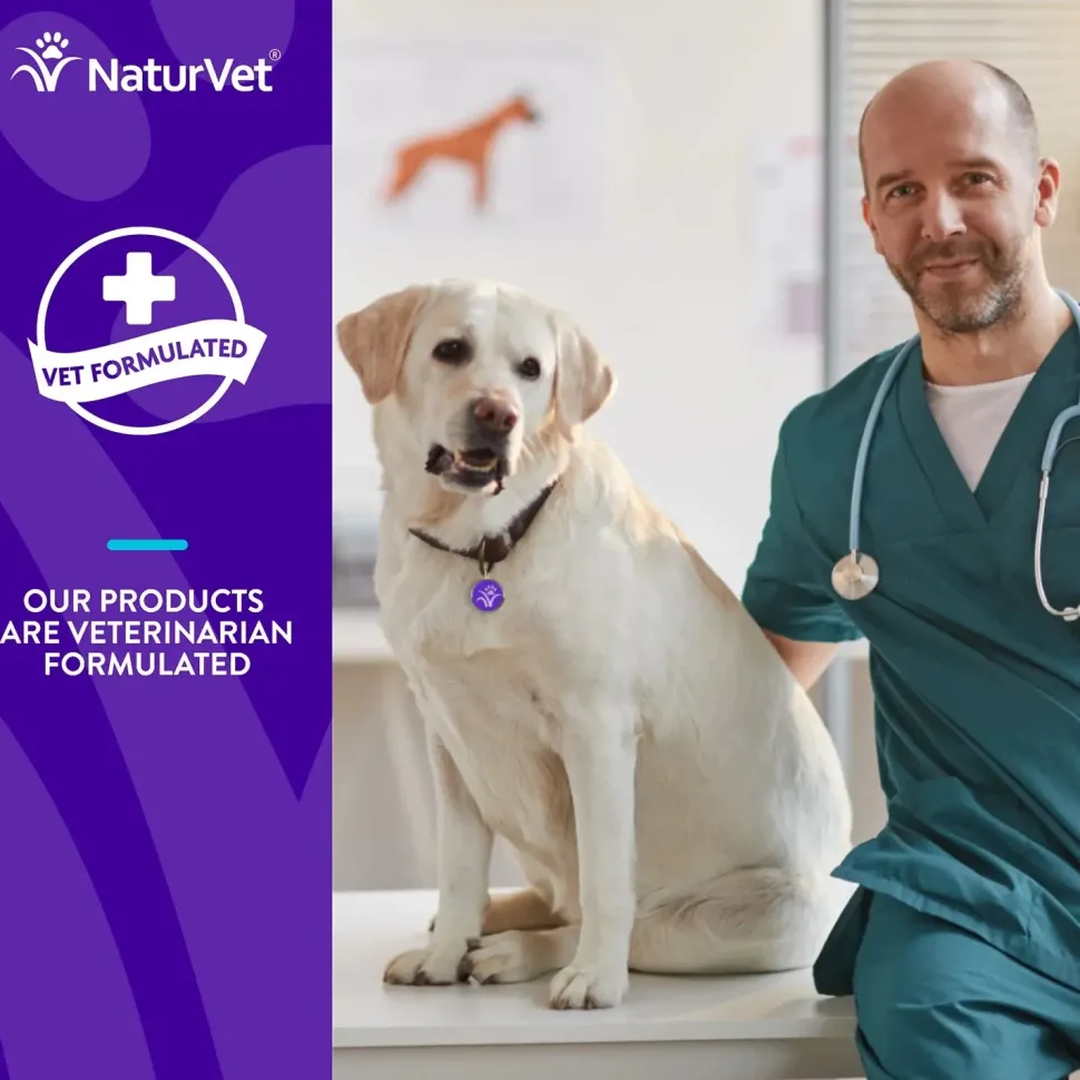 Evolutions by NaturVet All-in-One Plus Superfoods Soft Chews for Dogs 90 Count 7.9-oz