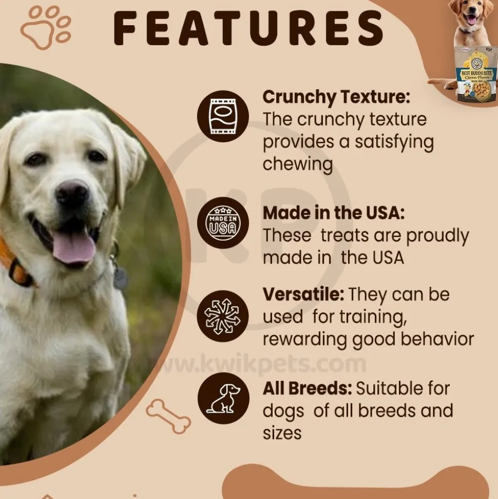 Exclusively Pet Best Buddy Bits Training Dog Treats Cheese 5.5-oz