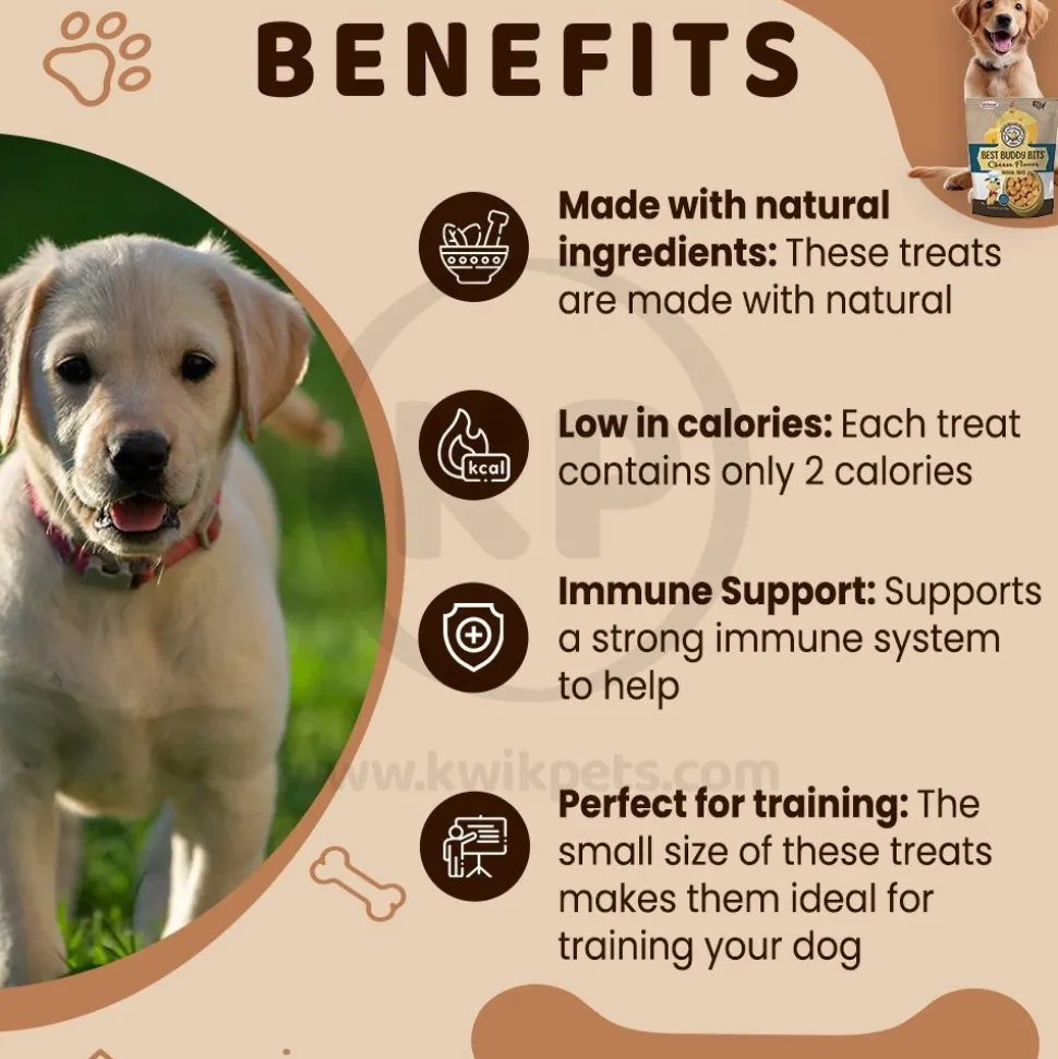 Exclusively Pet Best Buddy Bits Training Dog Treats Cheese 5.5-oz