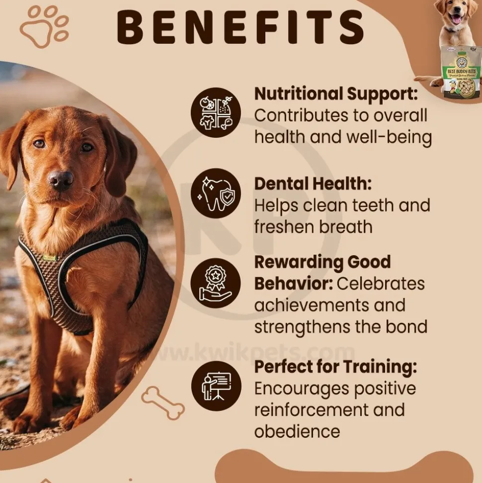 Exclusively Pet Best Buddy Bits Training Dog Treats Peanut Butter 5.5-oz
