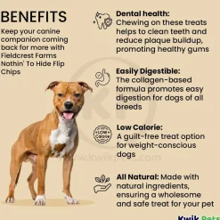 Fieldcrest Farms Nothin' To Hide Flip Chips Dog Treat Beef 8 Count 8.5-oz