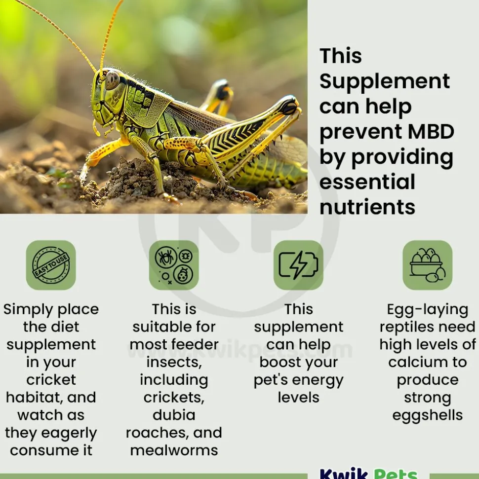Fluker's High-Calcium Cricket Diet Supplement 11.5-oz