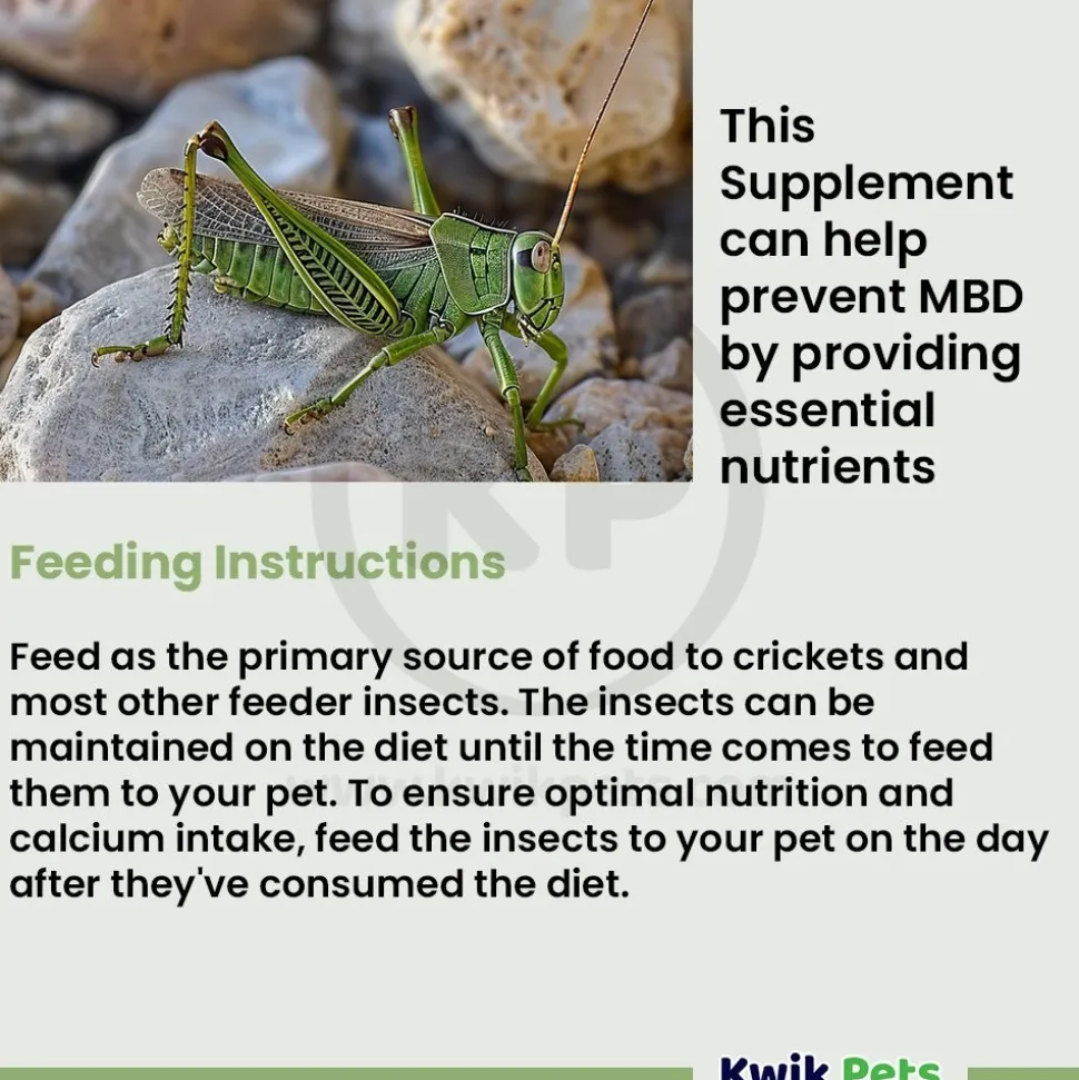 Fluker's High-Calcium Cricket Diet Supplement 11.5-oz