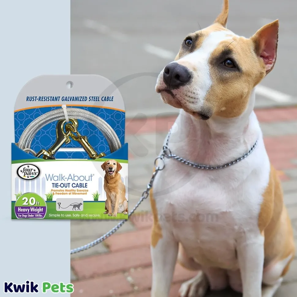 Four Paws Heavy Weight Dog Tie-Out Cable Silver 20-ft