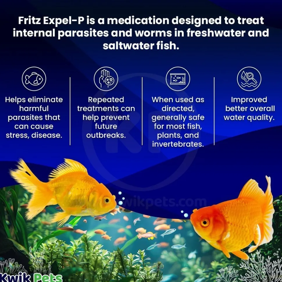 Fritz Expel-P Parasitic Treatment for Freshwater & Saltwater Aquarium Fish 20 Count