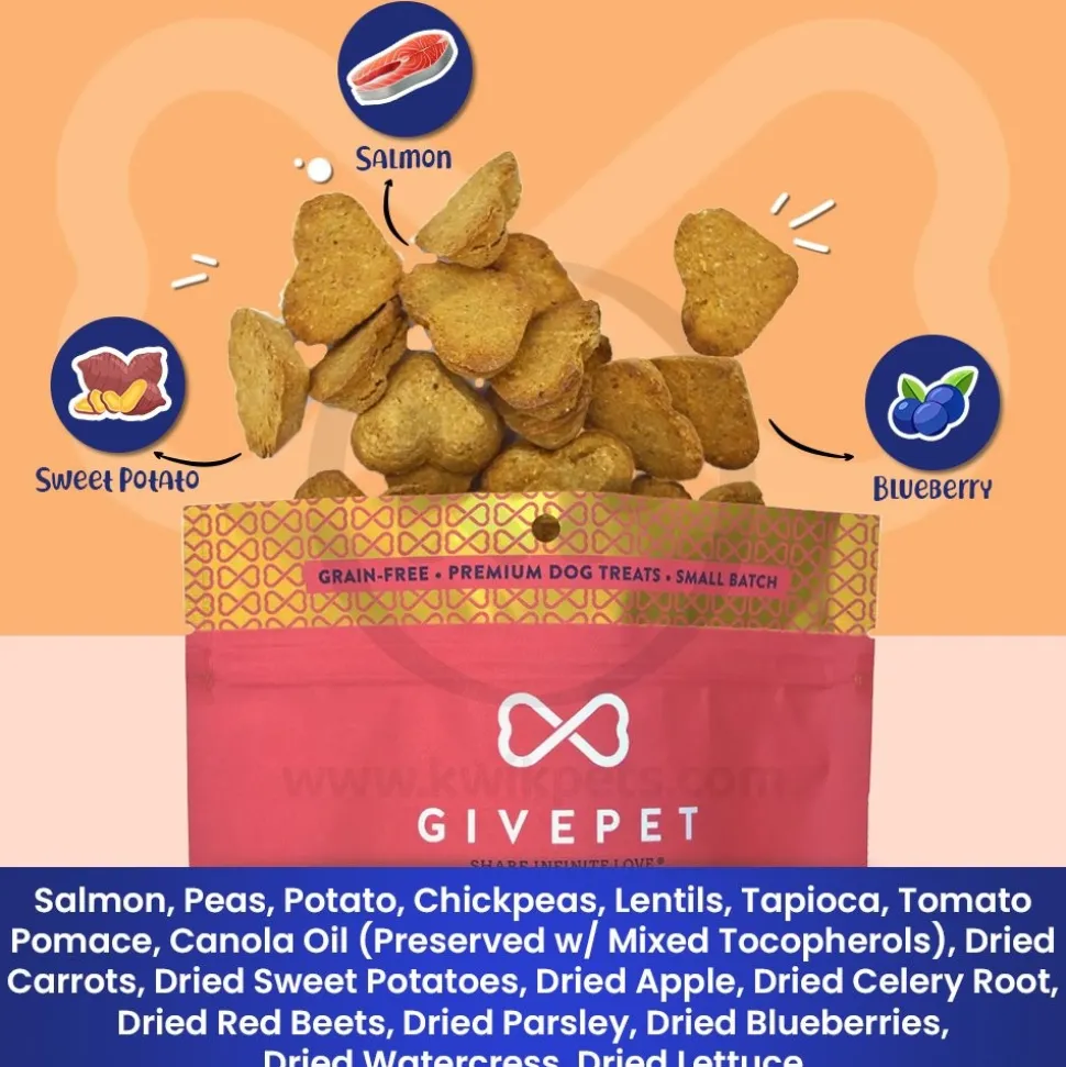 Givepet Campfire Feast Grain-Free Premium Dog Treats Salmon Sweet Potato & Blueberry 9.5-lb Bulk
