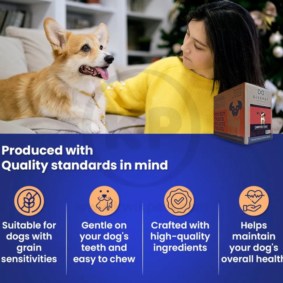 Givepet Campfire Feast Grain-Free Premium Dog Treats Salmon Sweet Potato & Blueberry 9.5-lb Bulk
