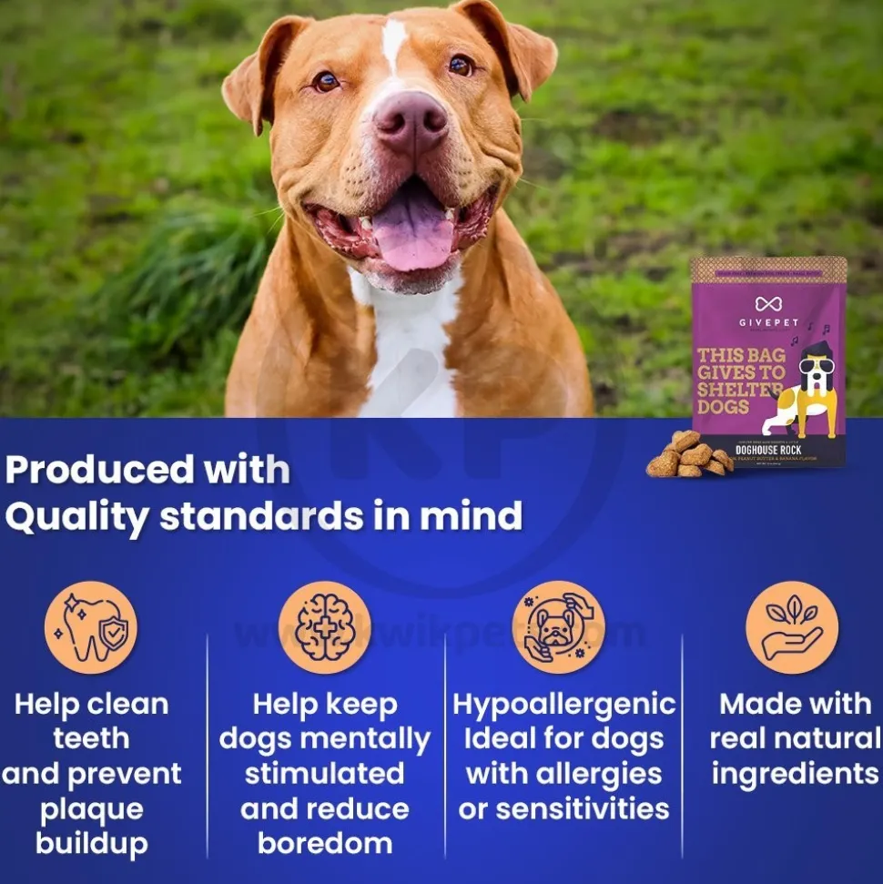 Givepet Dog House Rock Grain-Free Premium Dog Treats Bacon Peanut Butter & Banana 11-oz