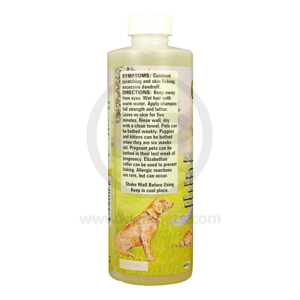 Goodwinol Shampoo for Dogs & Cats 8-oz