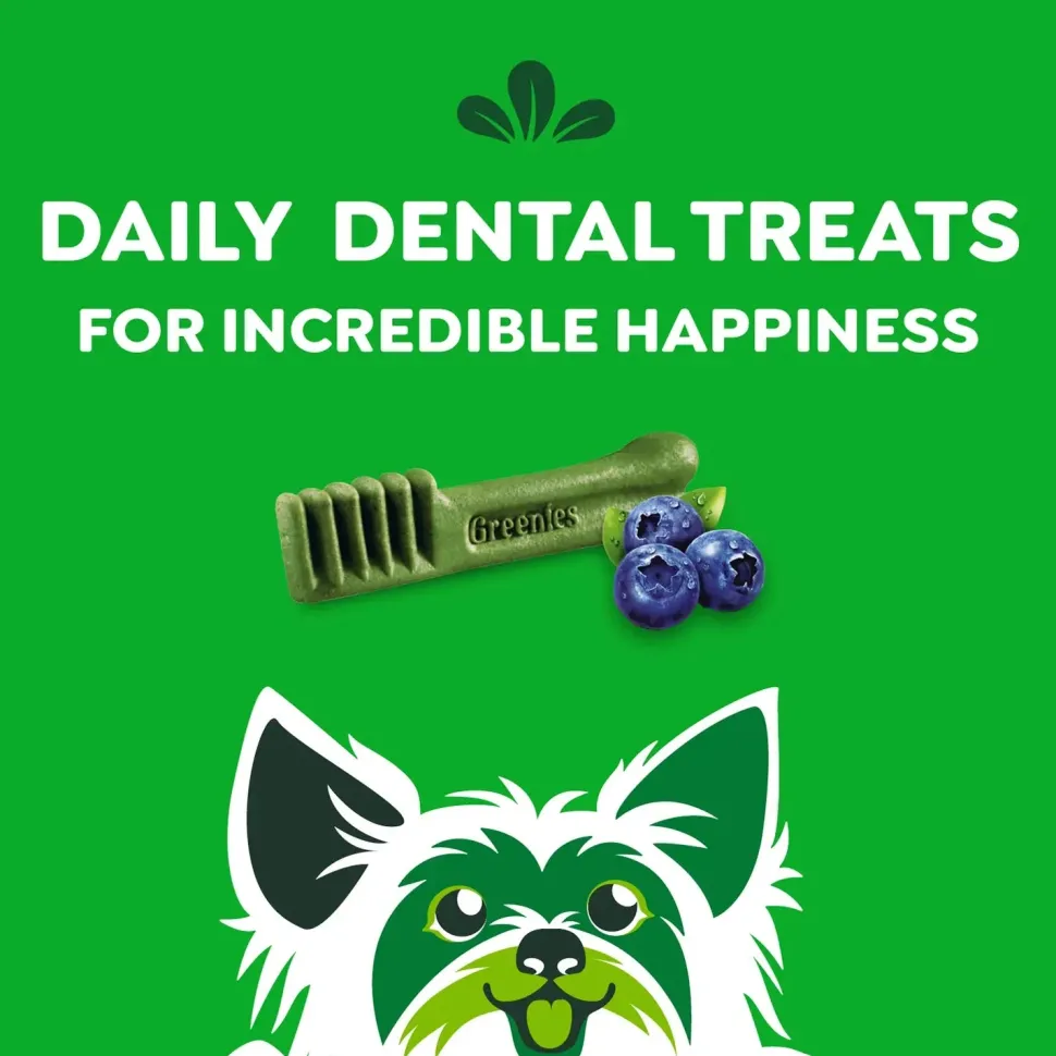 Greenies Blueberry Dog Dental Treats Teenie 12-oz 43 Count