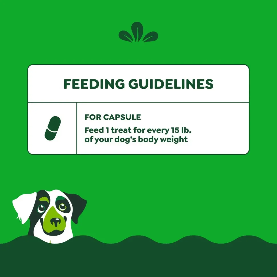 Greenies Capsule Pill Pockets Dog Treats Hickory Smoke 15.8-oz 60 Count